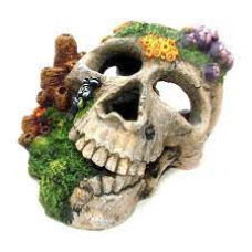 Decoração Aquário Wood Skull Plants